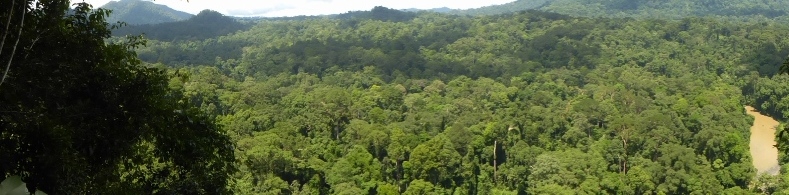 Adventure Alternative Borneo Sabah Jungle